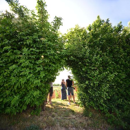 Le Concept-Studio Perrigny-sur-Armançon Eksteriør bilde