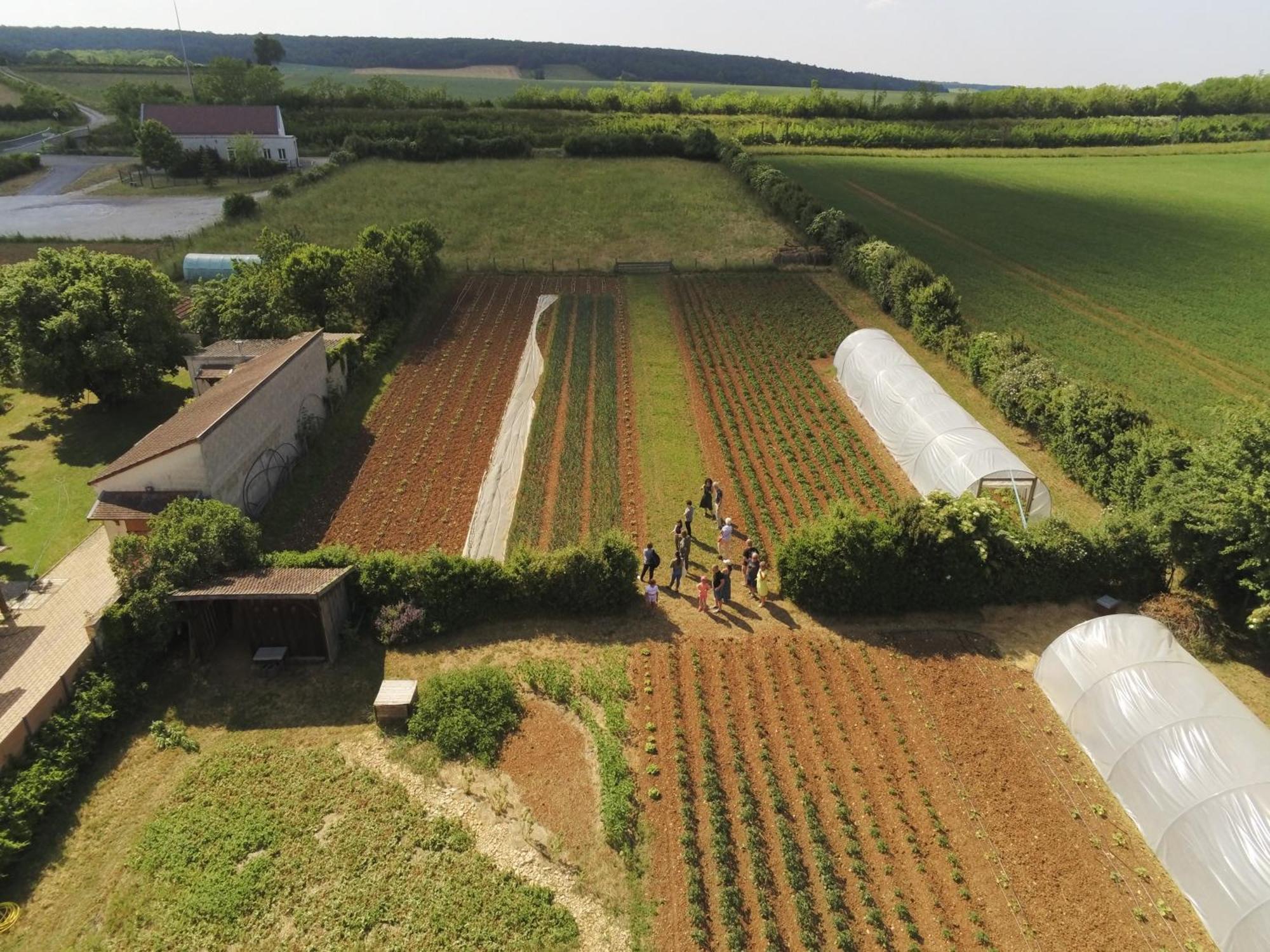 Le Concept-Studio Perrigny-sur-Armançon Eksteriør bilde